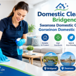 cleanu